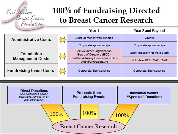 Foundation Operating Model Established in February 2006