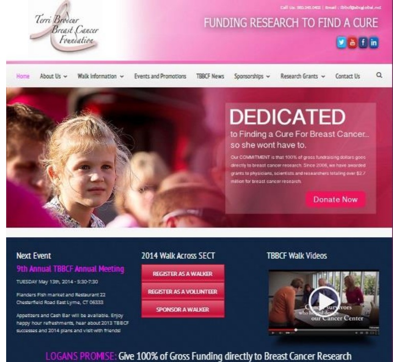 WordPress Design 2014 Pyramid Vizen Studio