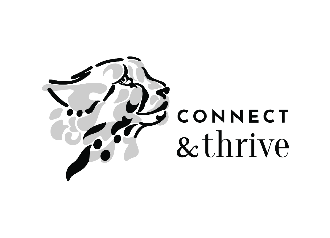 CAT-TBBCF-Sponsor-Logo